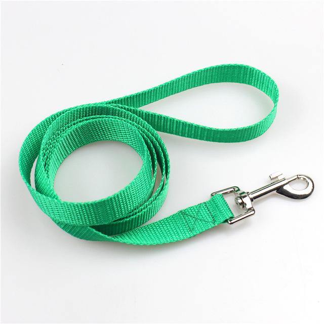 Clip-On Pet Walking Leash