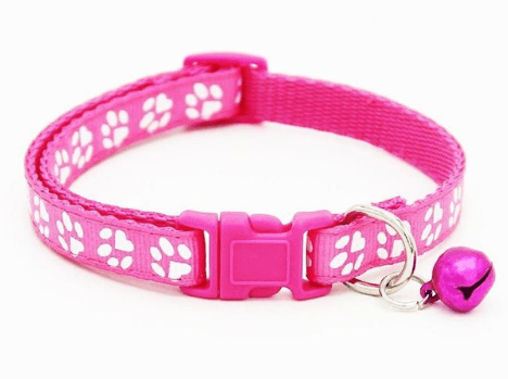 Nylon Cat Collar with Bell