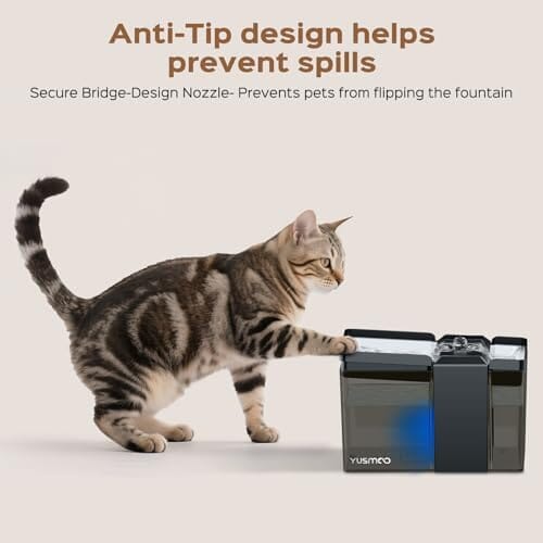 Stainless-Top Pet Drinking Fountain