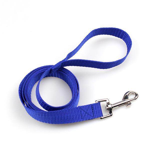 Clip-On Pet Walking Leash