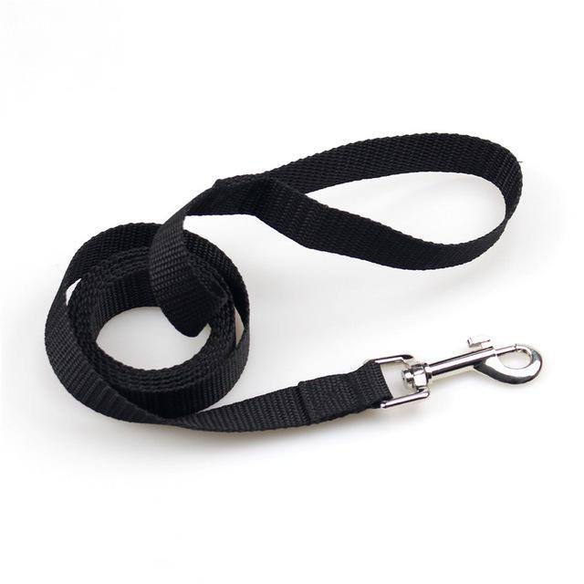 Clip-On Pet Walking Leash