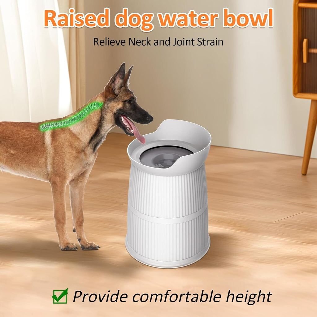 Raised No-Spill Dog Water Bowl