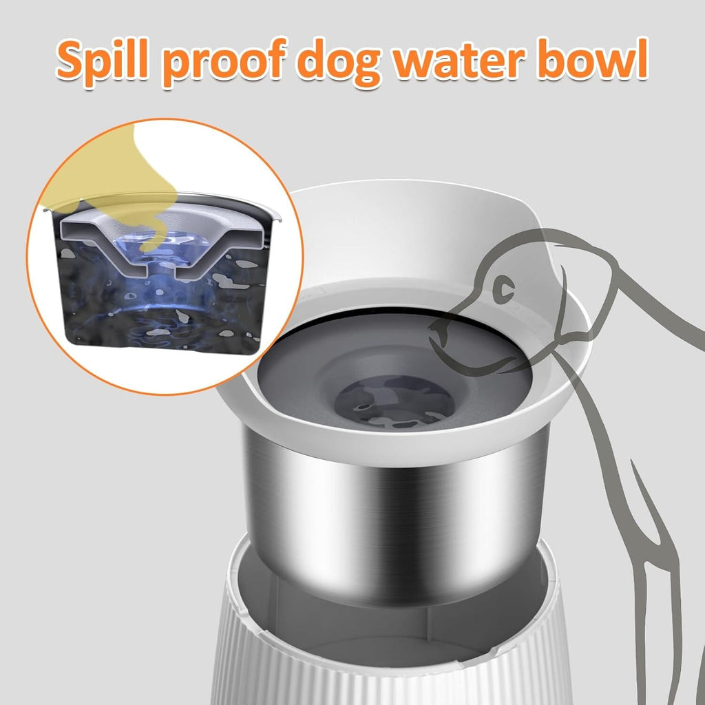 Raised No-Spill Dog Water Bowl