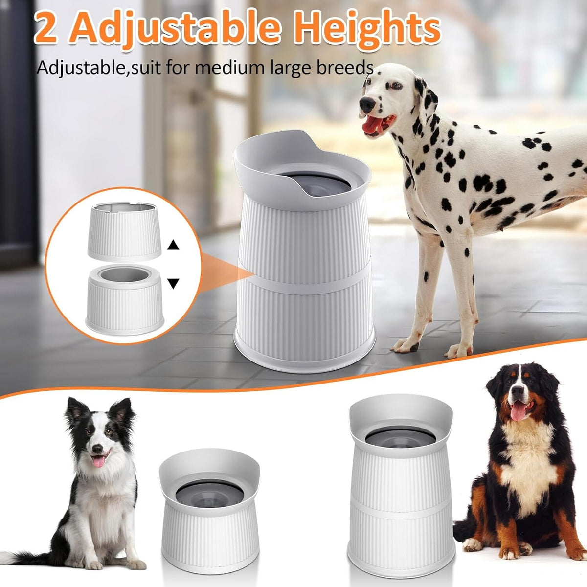 Raised No-Spill Dog Water Bowl