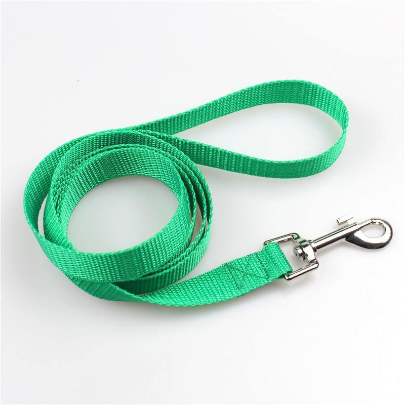 Clip-On Pet Walking Leash