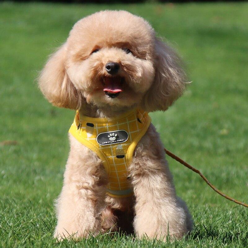 Grid-Pattern Dog Harness and Leash Set