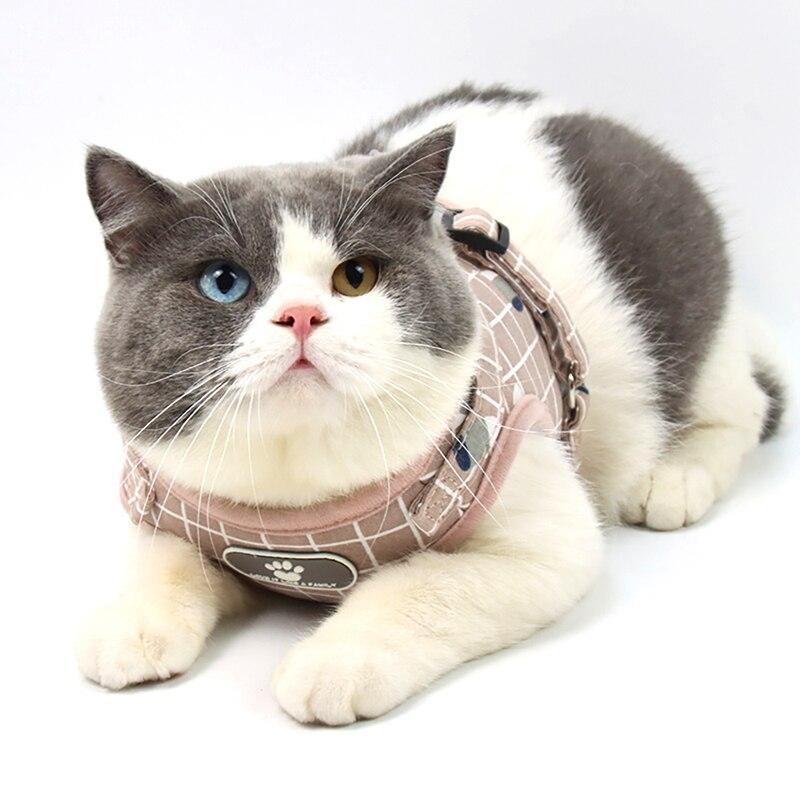 Grid-Pattern Dog Harness and Leash Set