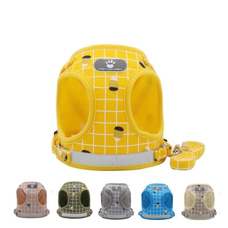 Grid-Pattern Dog Harness and Leash Set