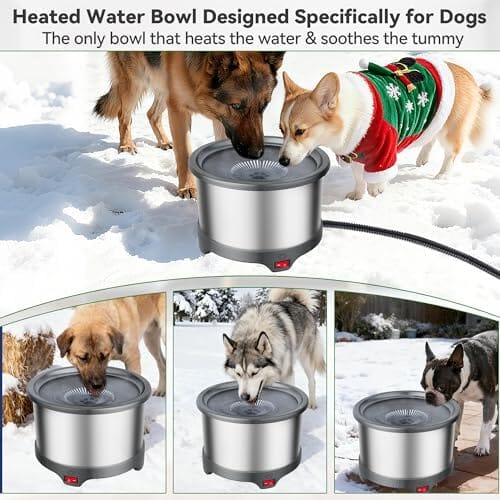 Heated Outdoor Pet Water Bowl
