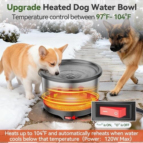 Heated Outdoor Pet Water Bowl