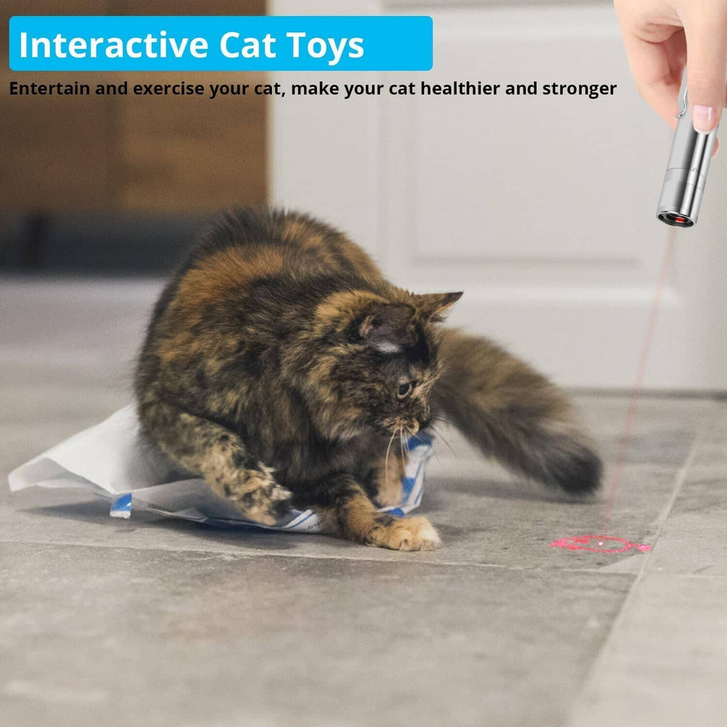 USB Rechargeable Cat Laser Toy