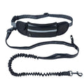 Hands-Free Waist Dog Leash