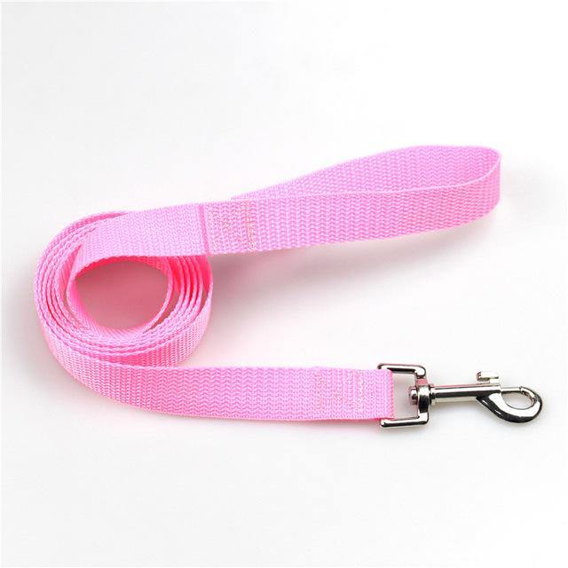 Clip-On Pet Walking Leash
