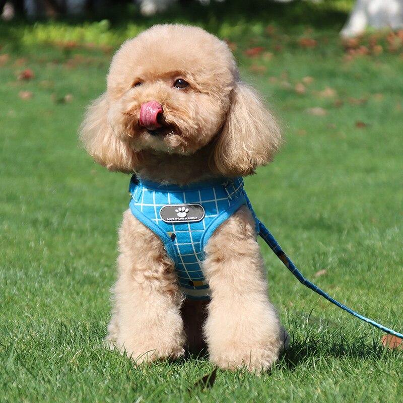 Grid-Pattern Dog Harness and Leash Set
