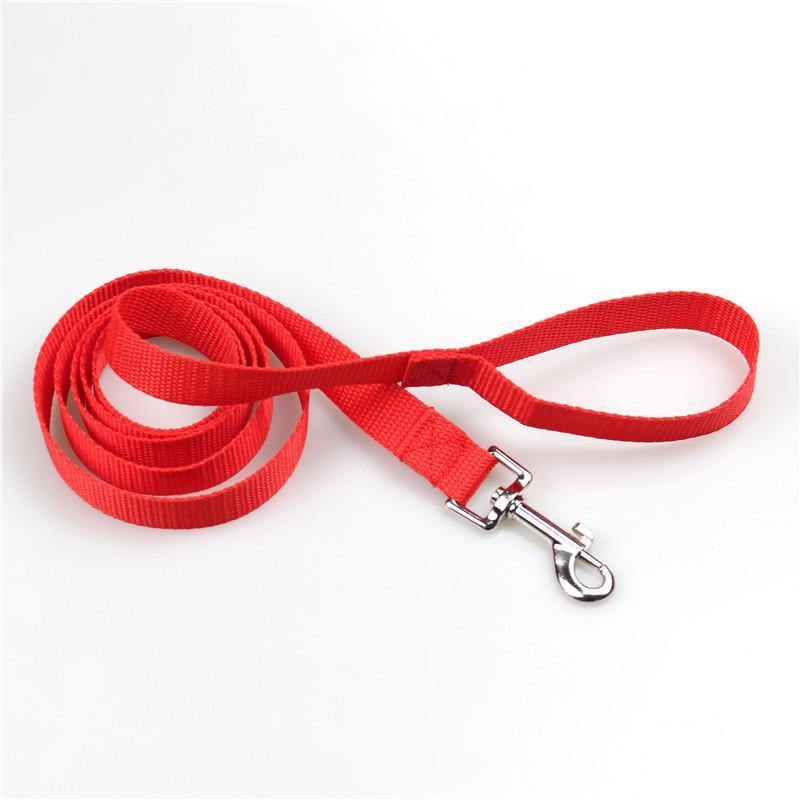 Clip-On Pet Walking Leash