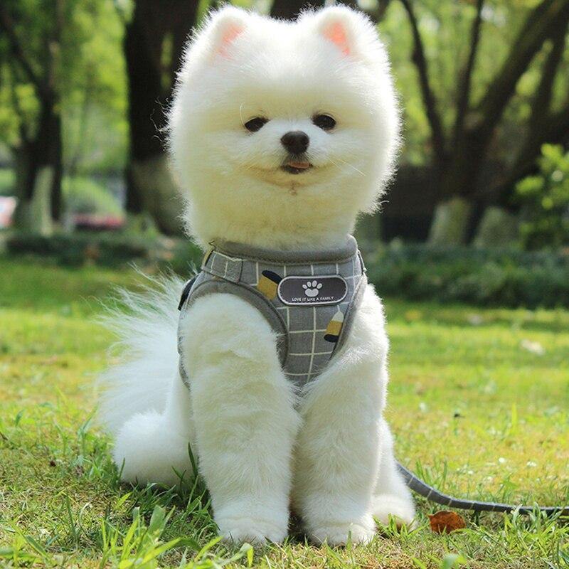 Grid-Pattern Dog Harness and Leash Set