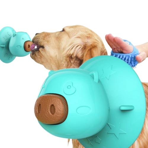 Suction Cup Pet Lick Toy