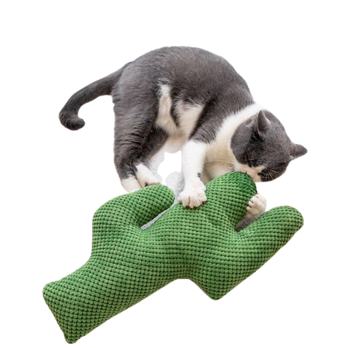 Cactus Catnip Plush Cat Toy