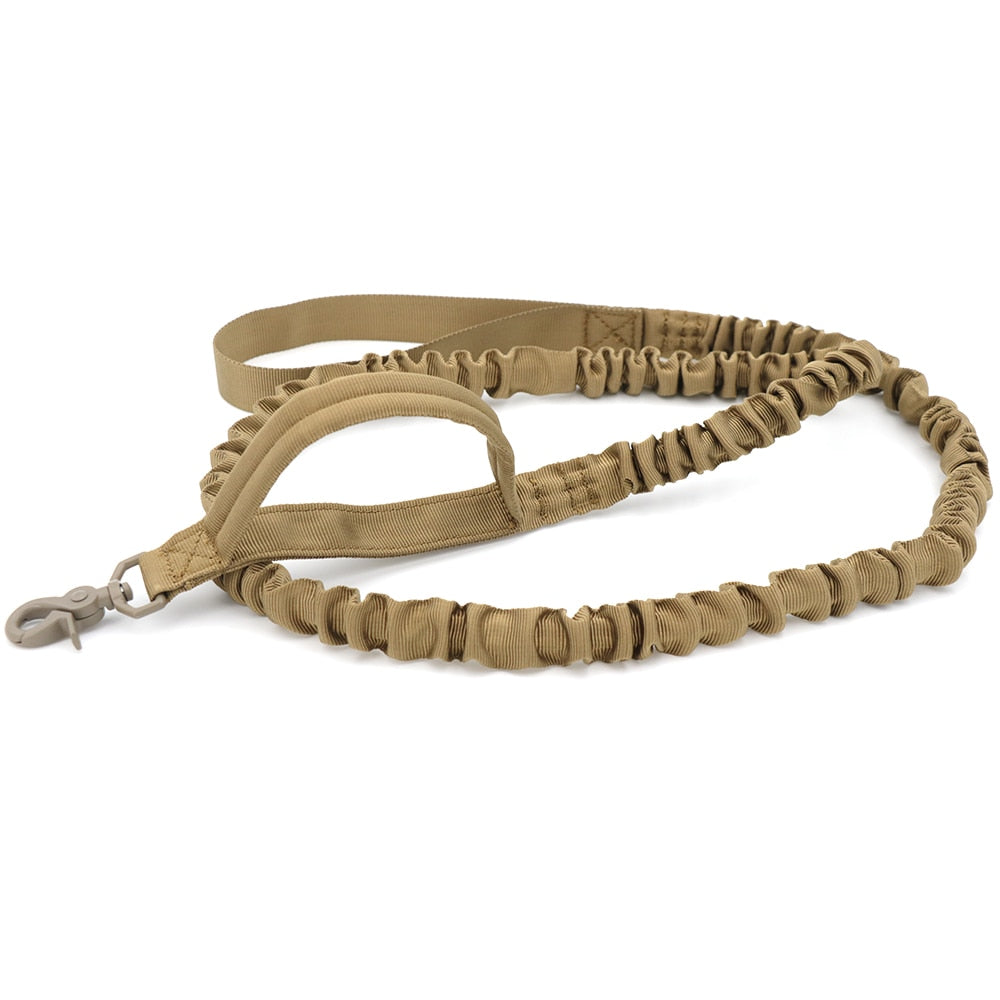 Bungee Dog Walking Leash