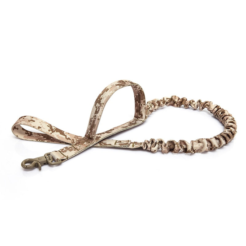 Bungee Dog Walking Leash