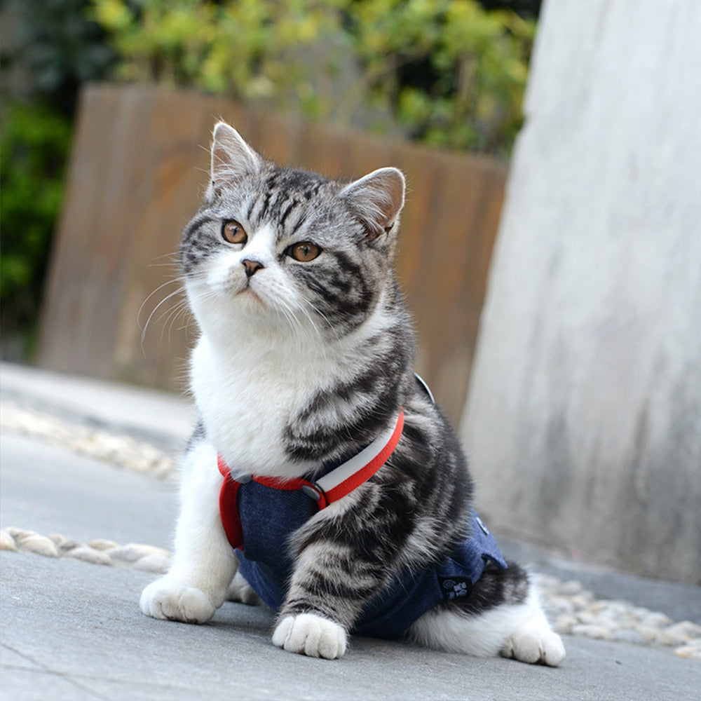 Washable Dog Diaper Pants