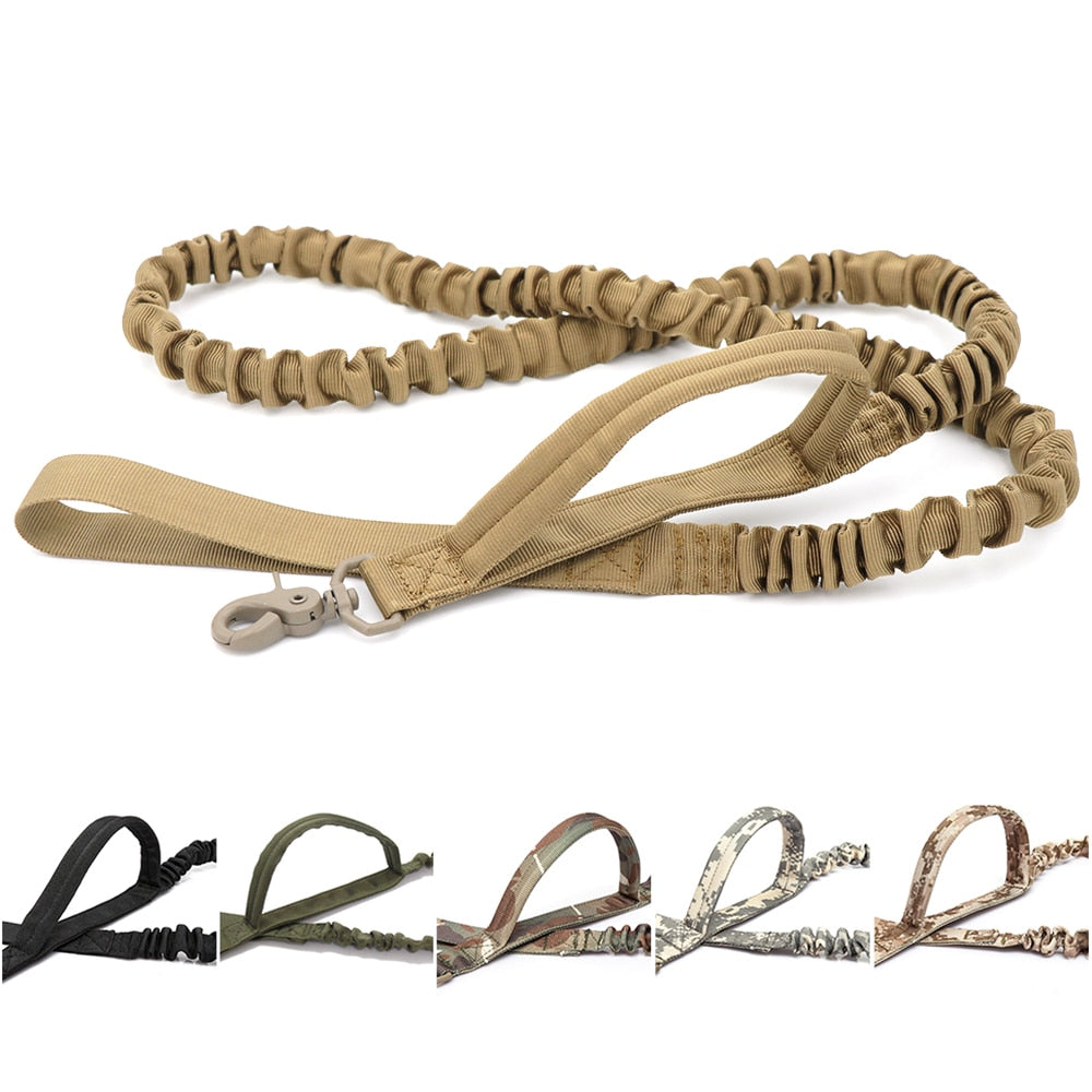 Bungee Dog Walking Leash