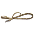 Bungee Dog Walking Leash