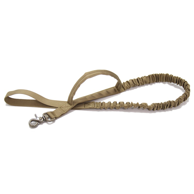 Bungee Dog Walking Leash