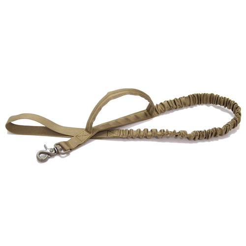 Bungee Dog Walking Leash