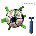 Interactive Dog Soccer Ball