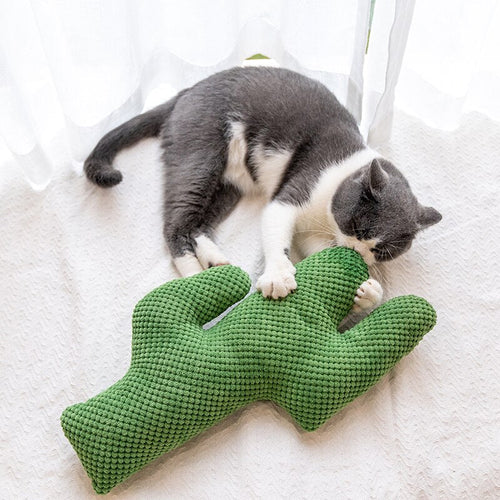 Cactus Catnip Plush Cat Toy