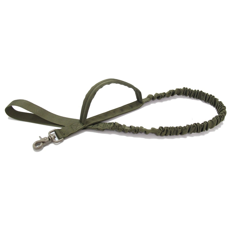 Bungee Dog Walking Leash