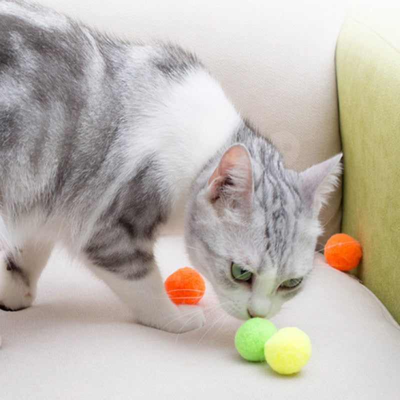 Colorful Plush Cat Play Ball