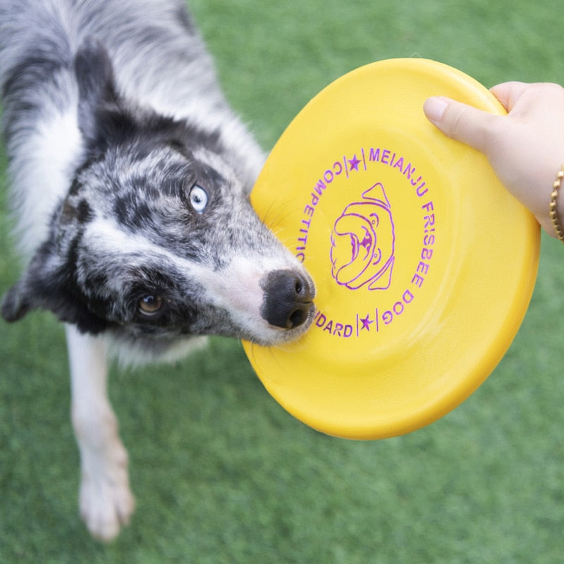 Flying Disc Dog Fetch Toy