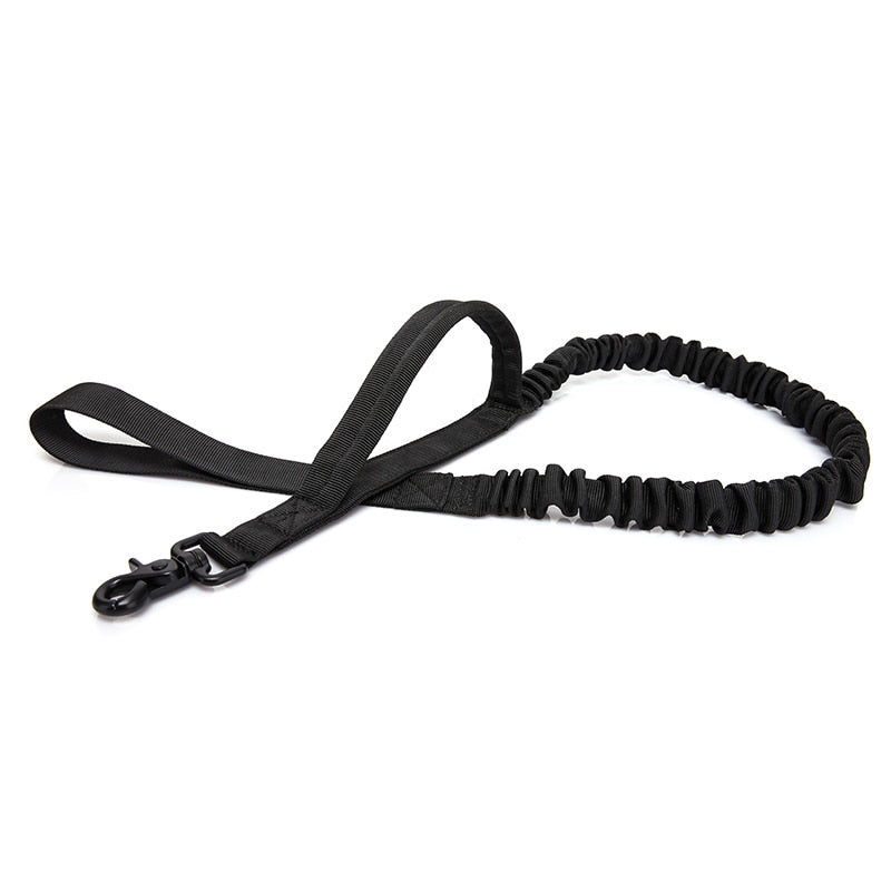 Bungee Dog Walking Leash