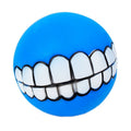 Smile Squeaky Dog Ball