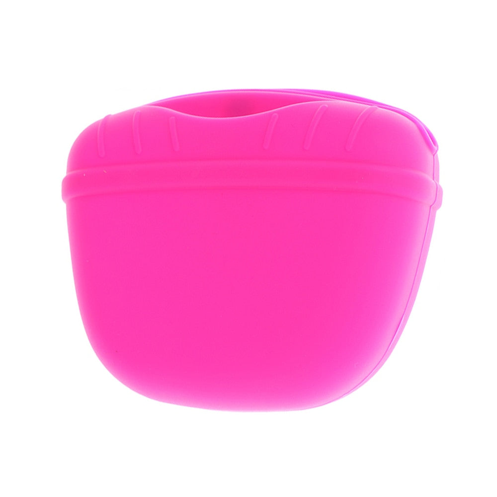 Portable Dog Training Treat Pouch