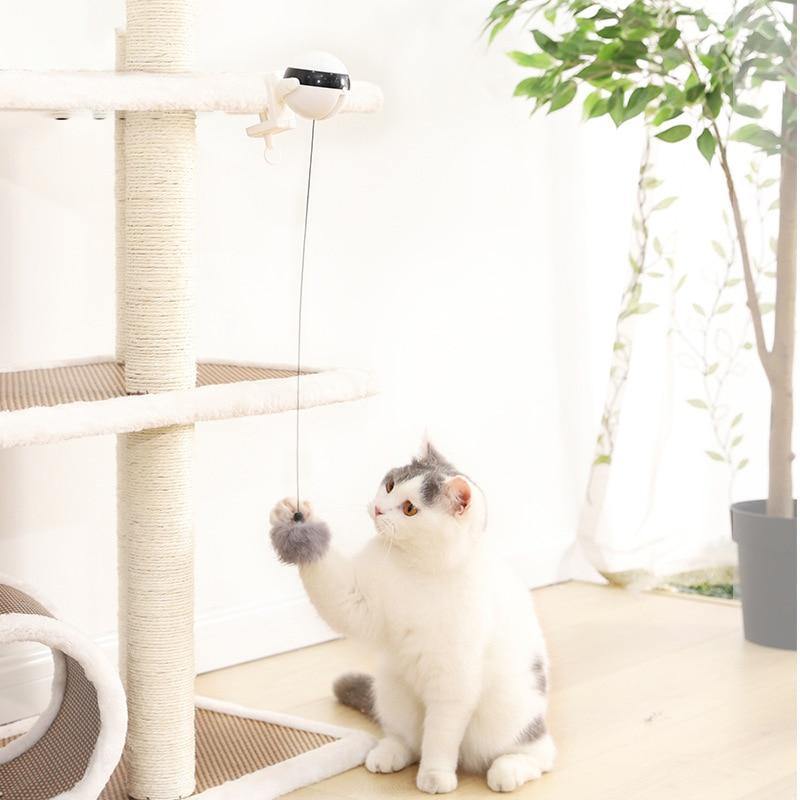 Hanging Interactive Cat Ball Toy