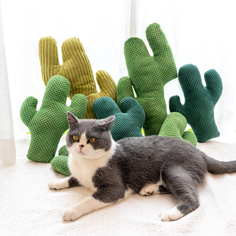 Cactus Catnip Plush Cat Toy