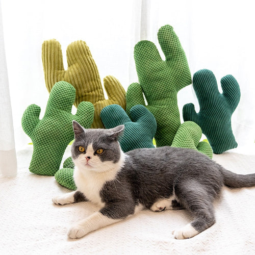 Cactus Catnip Plush Cat Toy