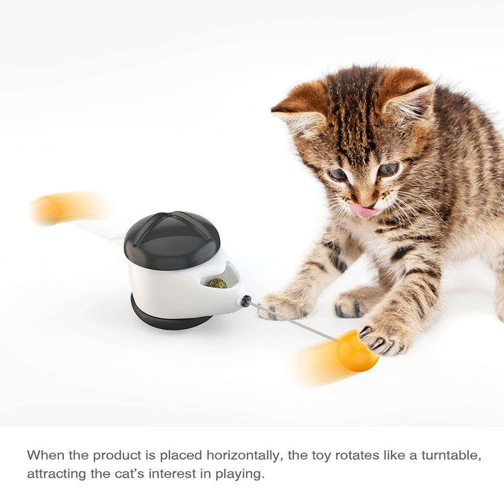Wobble Cat Chasing Toy