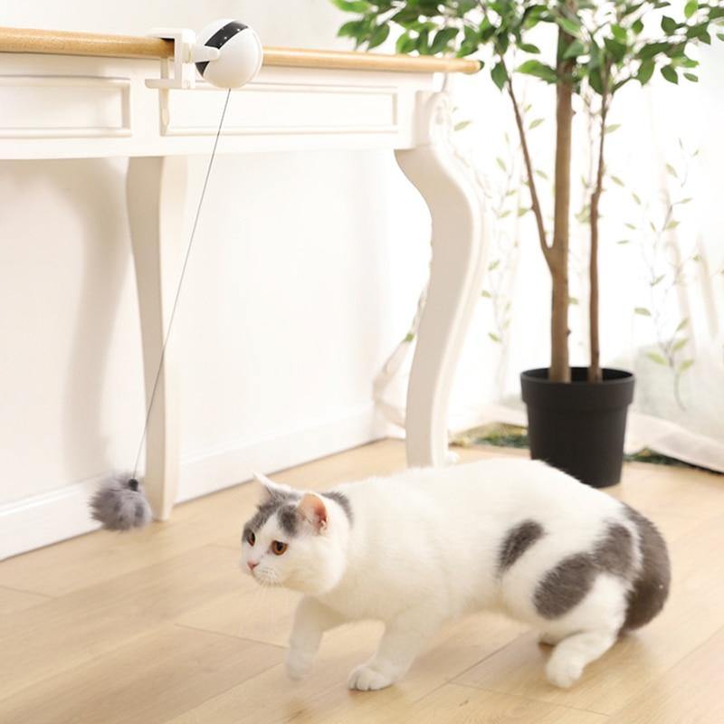 Hanging Interactive Cat Ball Toy