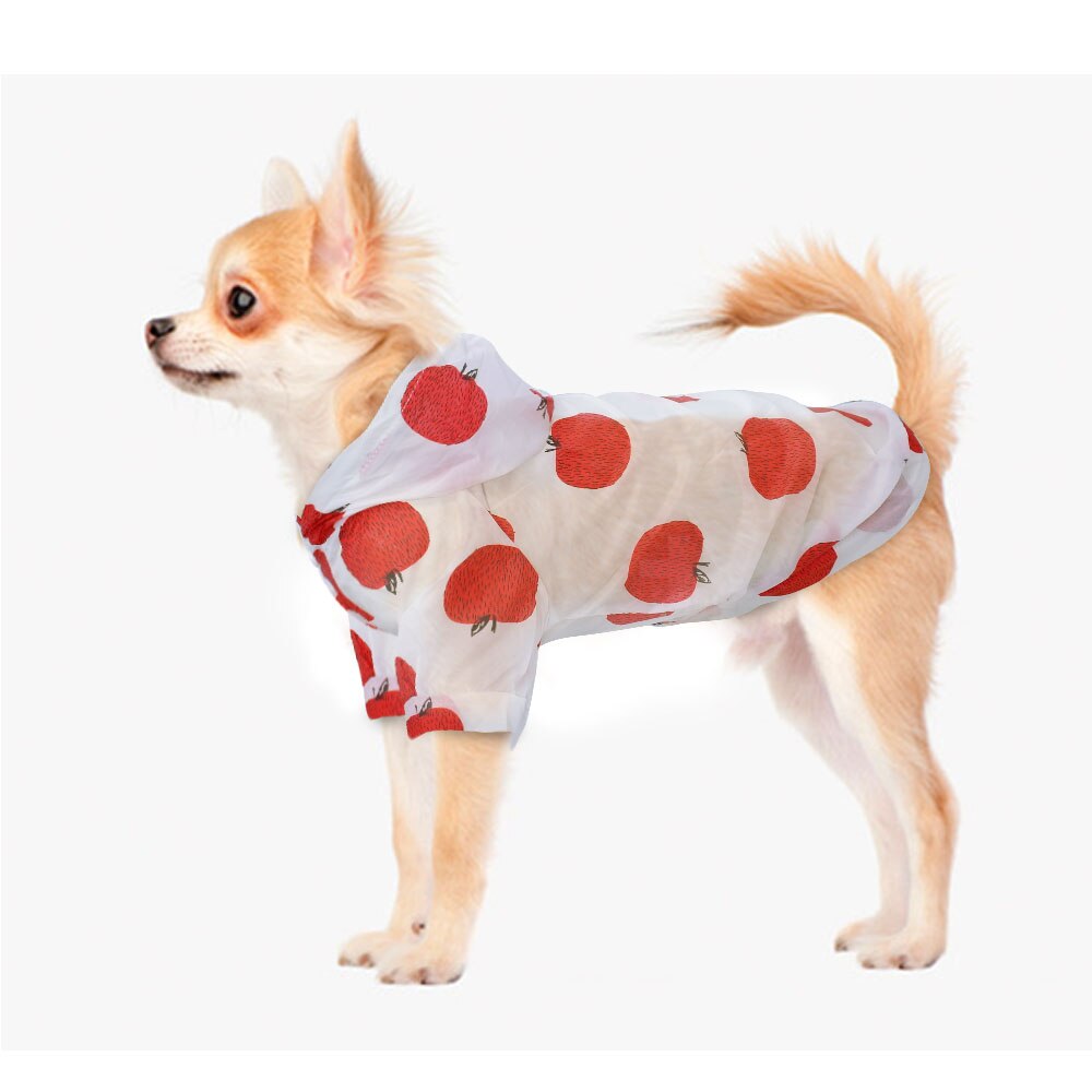 Dog Sun Hoodie Poncho