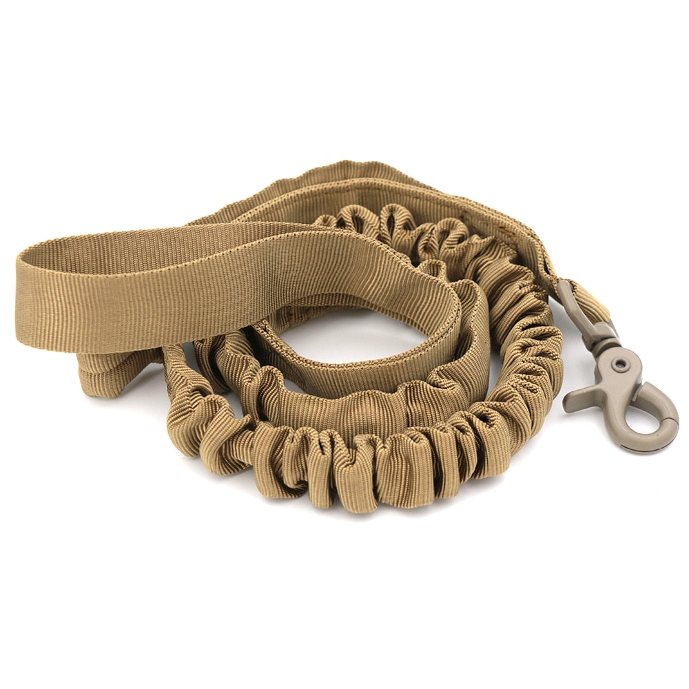 Bungee Dog Walking Leash