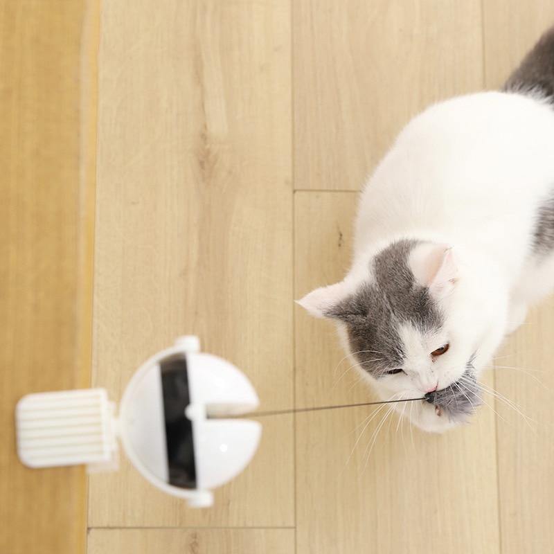 Hanging Interactive Cat Ball Toy