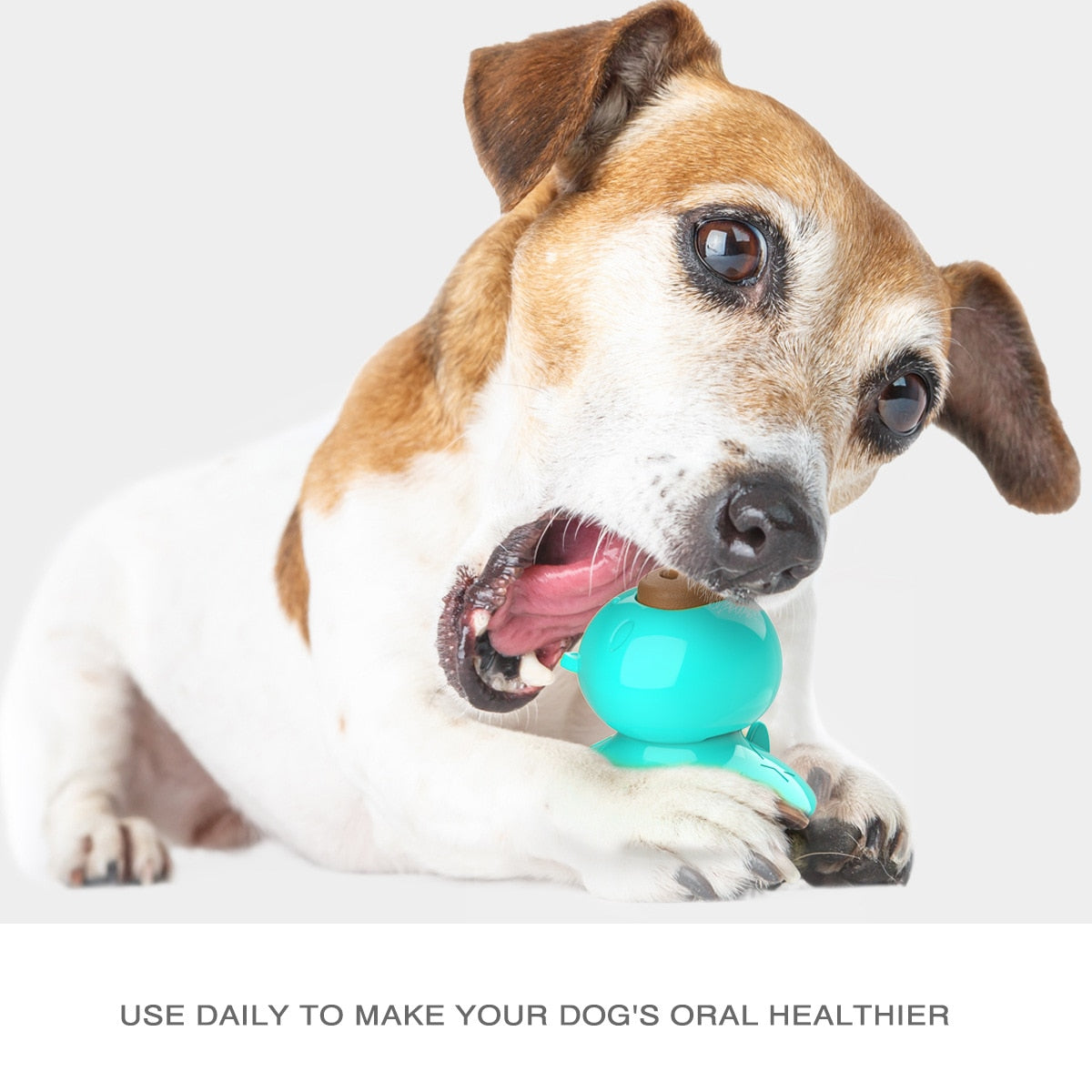 Suction Cup Pet Lick Toy