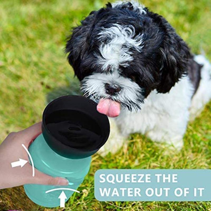 Two-in-One Portable Pet Water Bottle