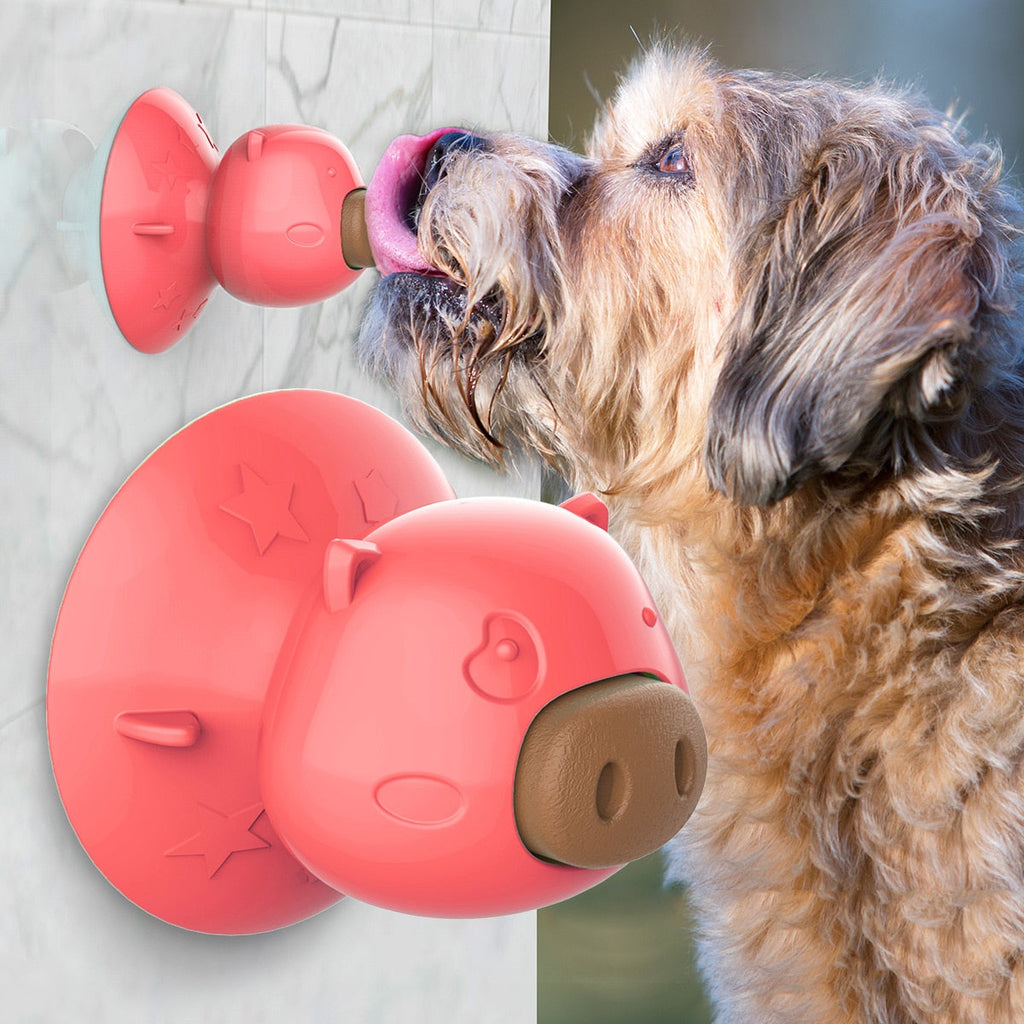 Suction Cup Pet Lick Toy