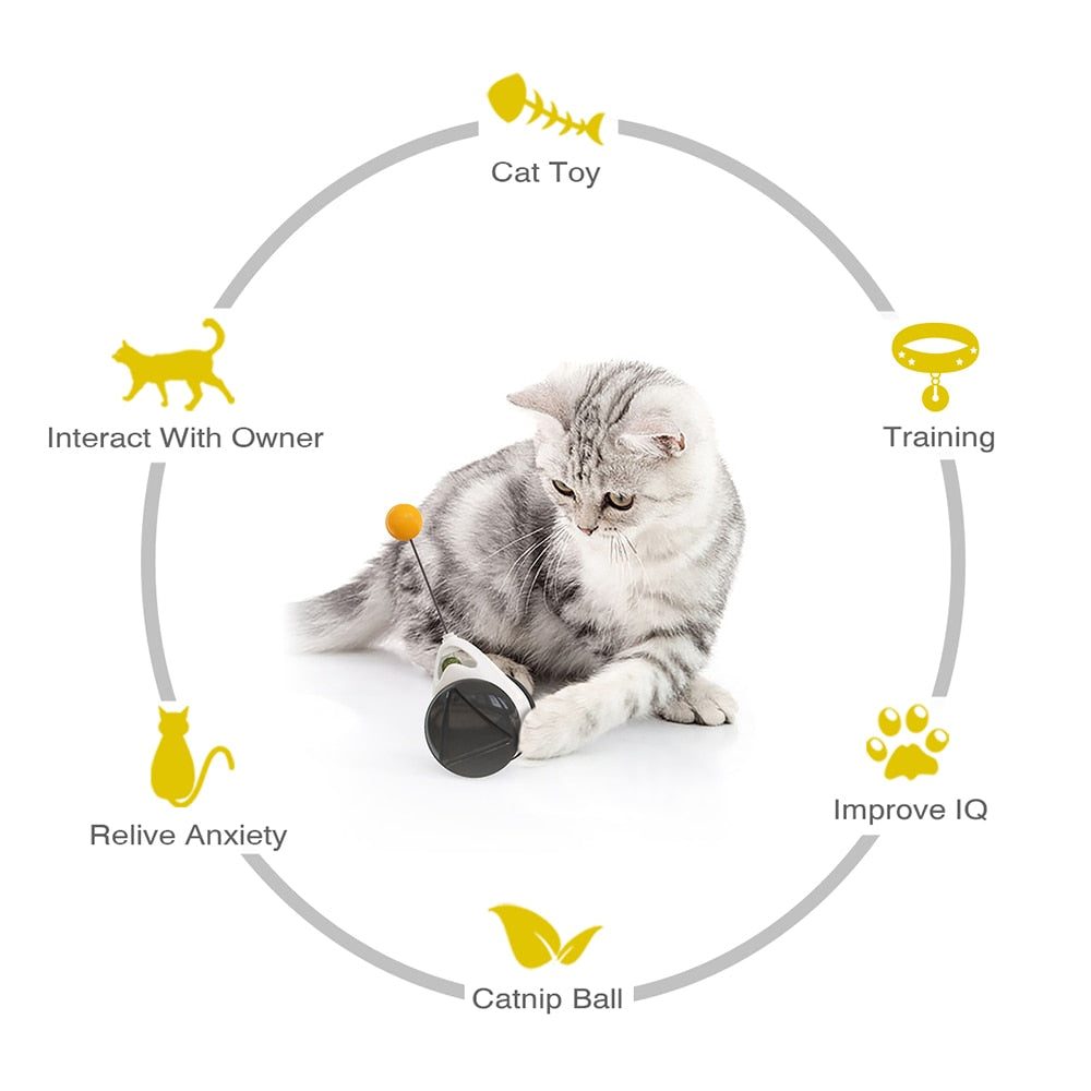 Wobble Cat Chasing Toy