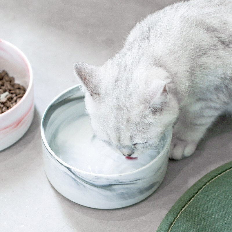 Marble-Style Ceramic Pet Bowl